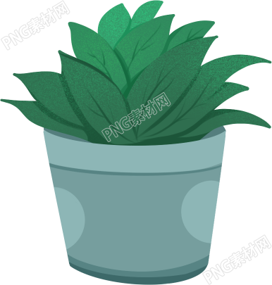 绿色植物盆栽