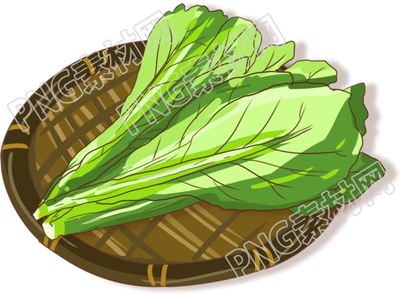 绿色蔬菜食品素材