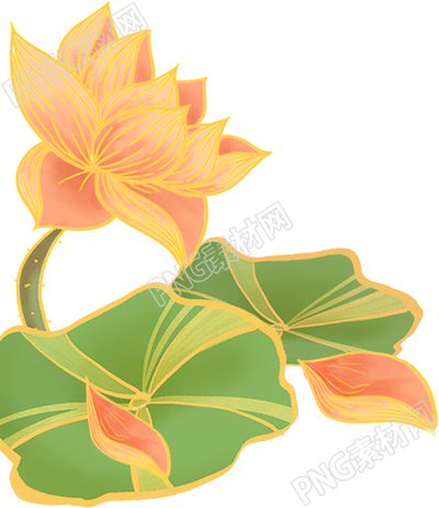 金边荷花素材