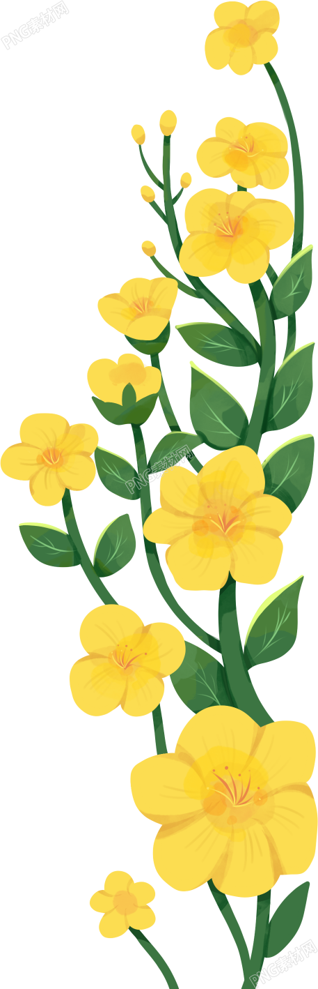 鲜艳的黄花植物素材