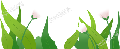 开花草丛素材