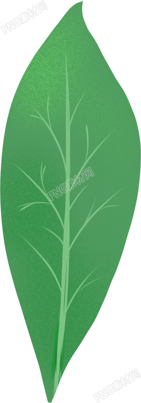 单片绿叶植物素材