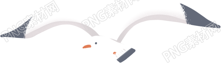 夏季海鸥素材