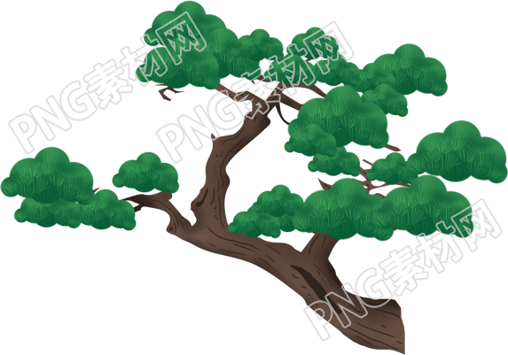长青树重阳节素材