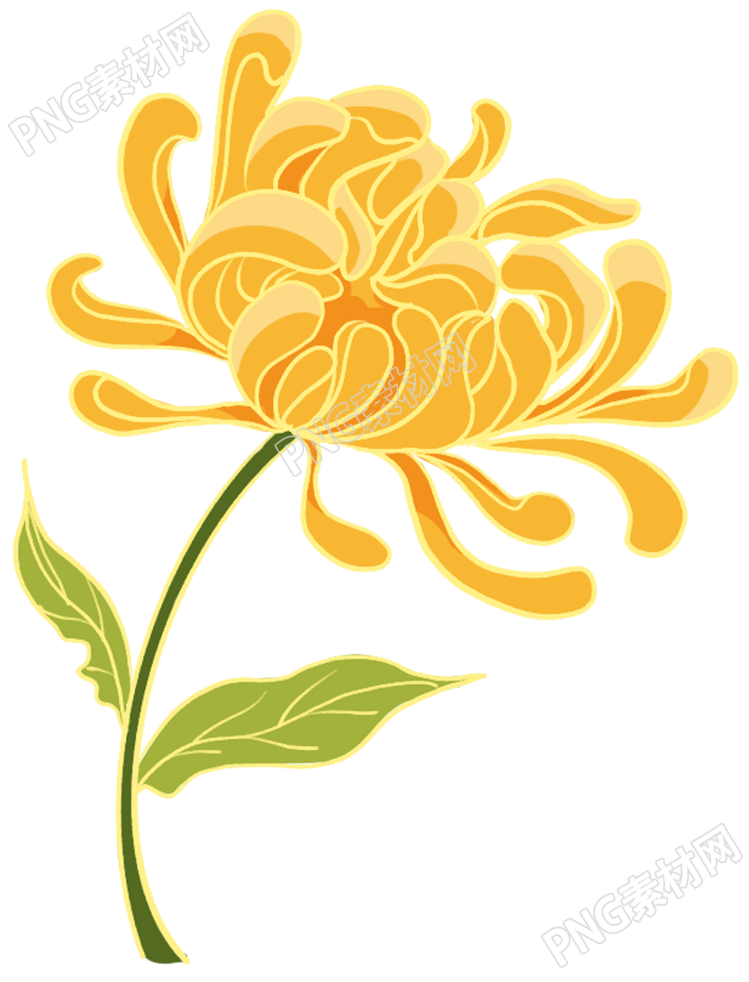 黄色菊花装饰素材