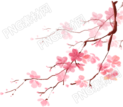 手绘清新枝干花朵