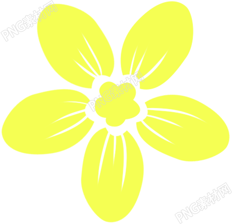 黄色花朵花瓣