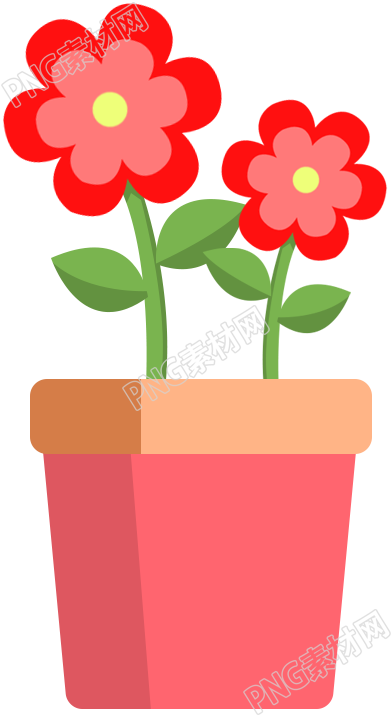 小红花盆栽素材