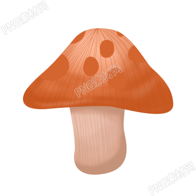 蘑菇秋季植物素材