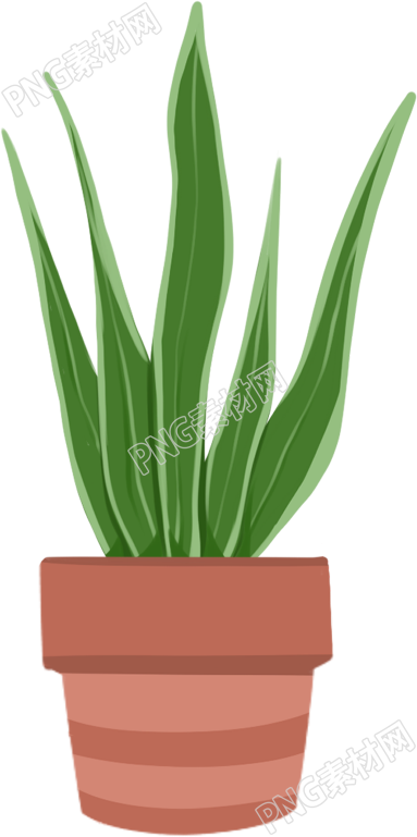 手绘植物盆栽插画素材