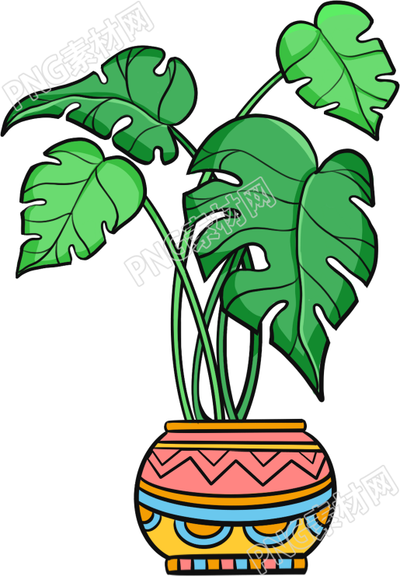 大叶子绿色植物盆栽素材