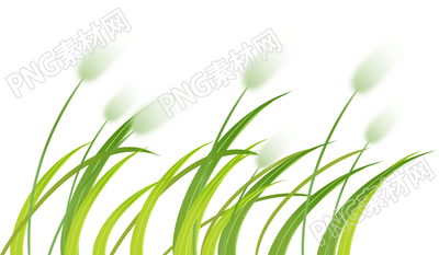 手绘清新绿色芦苇素材