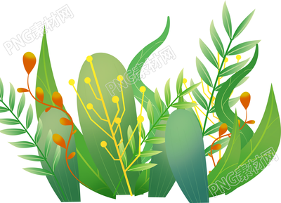手绘水草植物插画素材