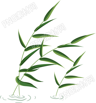 绿色植物水草手绘插画素材