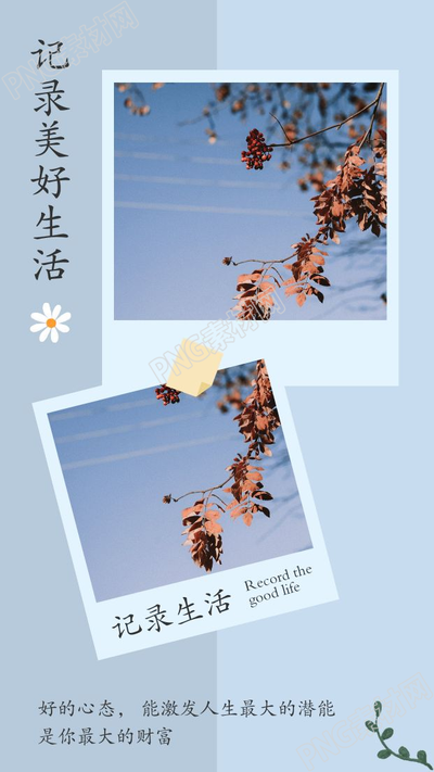 记录生活拼色背景花朵绿叶文艺风图片美化上下双图竖形拼图