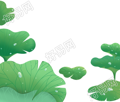 手绘清新荷叶插画植物素材
