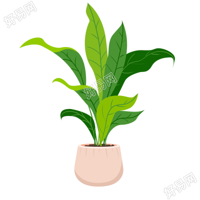 卡通手绘绿叶植物盆栽素材