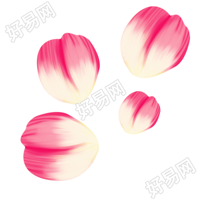 卡通手绘花瓣插画素材