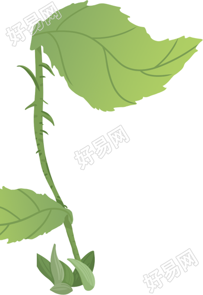 手绘绿色清新植物叶子图片素材