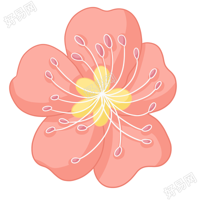 粉色好看的花朵免抠图片素材