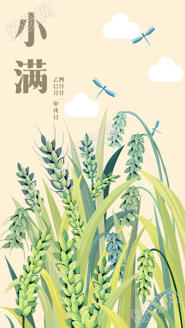 清新绿色小满二十四节气麦穗蜻蜓手机海报