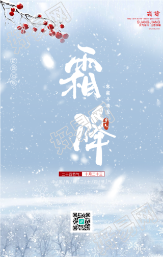 霜降节气雪天枝头风景海报