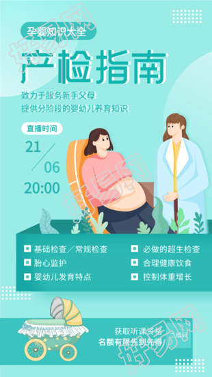 孕婴知识大全产检指南海报
