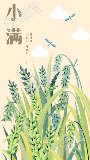 小满二十四节气麦穗蜻蜓海报