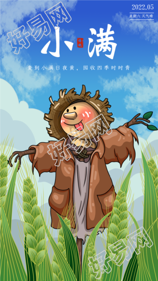 小满二十四节气稻草人丰收麦穗海报