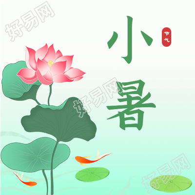 小暑二十四节气荷花中国风微信公众号封面次图
