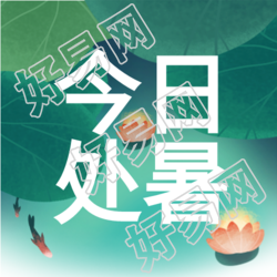 处暑节气二十四节气荷花荷叶小鱼夏天封面图