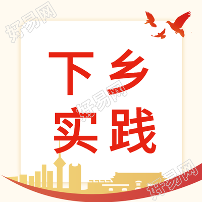 乡村振兴下乡实际鸽子城市封面图