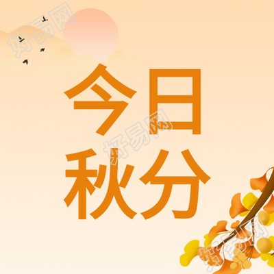 今日秋分传统节气银杏叶日落大雁公众号次图