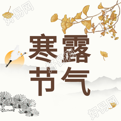 传统节气寒露银杏落叶落日国风公众号次图