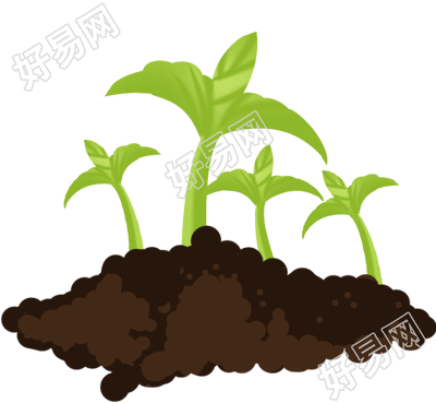 绿色植物/小草