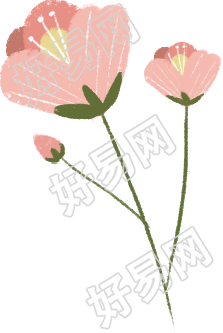花卉