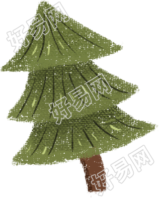 柏树