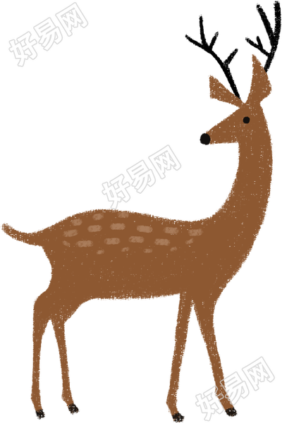 小鹿