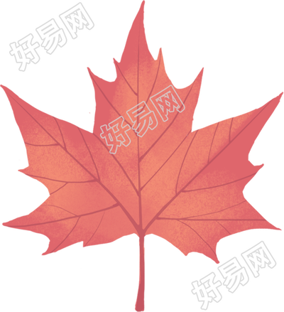 枫叶