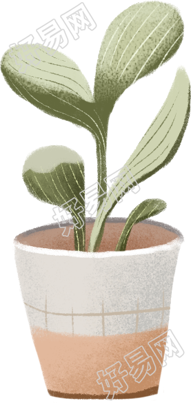 绿植盆栽