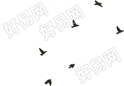 鸟/大雁