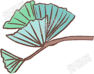 银杏树叶