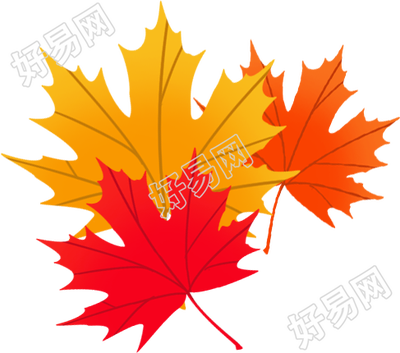 枫叶