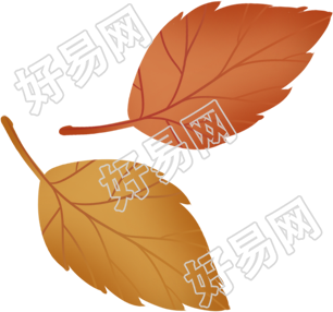 树叶