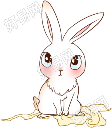 兔子