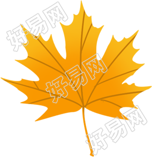 枫叶
