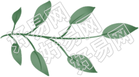 树叶