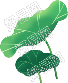 荷叶