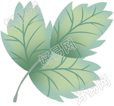 树叶