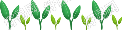 小草